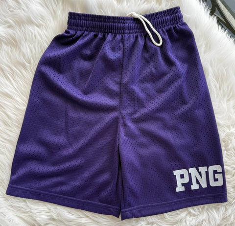 PNG purple mesh basketball shorts